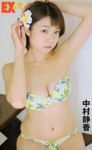 ★中村静香　EX大衆★テレカ５０度数未使用ol_340