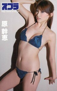 ★原幹恵　スコラ★テレカ５０度数未使用on_249