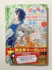 精霊魔法が使えない無能だと婚約破棄されたので、義妹の奴隷になるより追放を選びました　①　多花葉ねみ　398105②