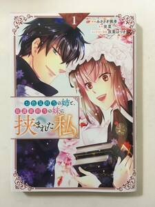 お色気担当の姉と、庇護欲担当の妹に挟まれた私　①　みささぎ楓李　3238055②