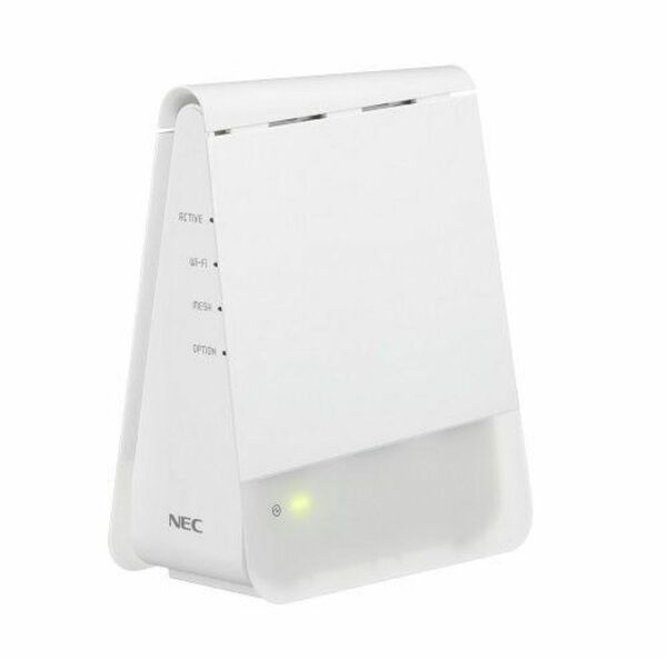 NEC 無線LANルーター 親機子機セット Aterm GX621A1 (WX1800HP 同等品) メッシュWi-Fi