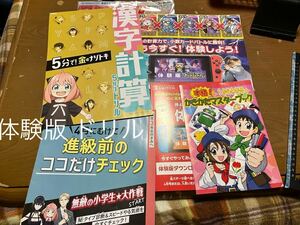 進研ゼミ/小学生/五年/3年/体験版ドリル+α/アーニャ/ラスト/ベネッセコーポレーション/