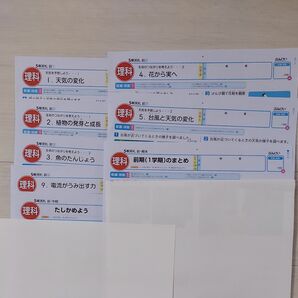 理科5年　前期　カラーテスト　最終値下げ