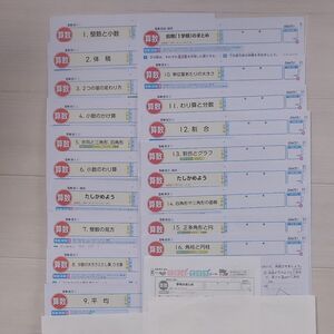 算数5年生　カラーテスト　最終値下げ