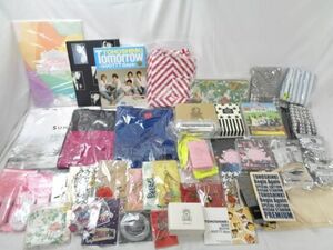 【同梱可】中古品 韓流 東方神起 DVD パラダイス牧場 Tシャツ 等 グッズセット