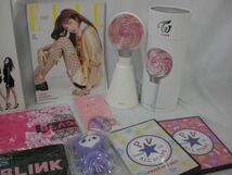 【同梱可】中古品 韓流 TWICE 少女時代 Blackpink 他 ペンライト うちわ ぬいぐるみキーホルダー 写真集 等 グッズセ_画像3