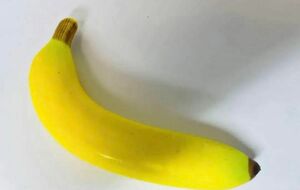 バナナ 本物そっくりな模型 食品サンプル 果物模型