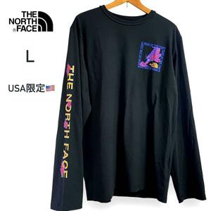 US限定！ ノースフェイス メンズ ロングTシャツ L CNY ブラック プリント ロゴ THE NORTH FACE アメリカ限定 虎 トラ 2022年 長袖Tシャツ