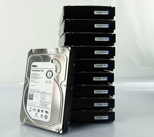 10個セット DELL Constellation ES Seagate ST1000NM0001 1TB HDD 3.5インチ SAS デル ハードディスク S031116