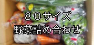 【大人気！！】80サイズ　野菜詰め合わせ　野菜ボックス　茨城県産