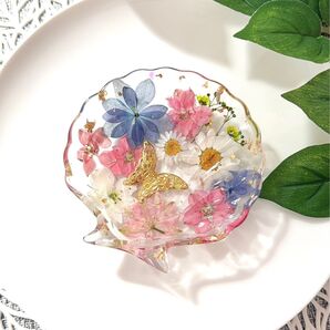 シェル 貝殻 トレイ【303】