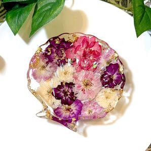 シェル 貝殻 トレイ【343】