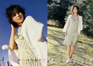 ☆ 堀北真希 スクールカレンダーBOOK 2005.4～2006.3 ミニポスター3枚付 美女 美乳 美尻 グラマー グラマー セクシー 水着 送料230