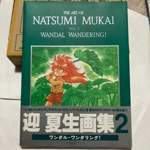 送料無料 迎夏生 画集 2 ワンダルワンダリング 初版 帯付き ワンダル・ワンダリング　THE ART OF NATSUMI MUKAI WANDAL WANDERING Vol.2