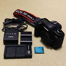 キヤノン CANON EOS 5D Mark II ボディ 動作確認済み バッテリー3個（写真は2個ですが）_画像1