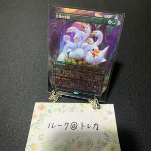 マジック：ザギャザリング MTG エルドレインの森 ボーダーレス Foil * 倍増の季節