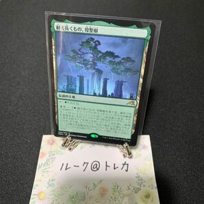 マジック：ザギャザリング MTG 神河：輝ける世界 * 耐え抜くもの、母聖樹