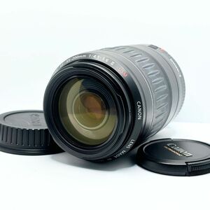 ★良品★ キャノン CANON ZOOM EF 55-200mm F4.5-5.6 II USM #112