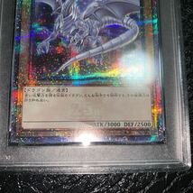 PSA10 イラスト違い 25th クオシク 青眼の白龍 Blue-Eyes White Dragon 遊戯王 完美品級_画像3