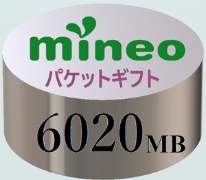 【6020MB】マイネオ mineo パケットギフト
