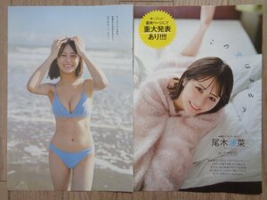 【５件同梱可能！！】尾木波菜　切り抜き（８ページ）ノットイコールミー