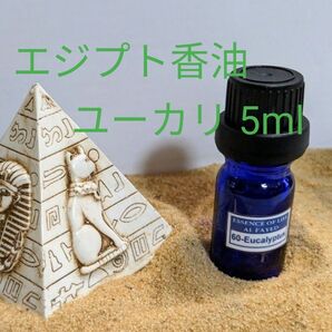 エジプト香油　ユーカリ　5ml　ドロッパーボトル入(一滴約0.05ml)