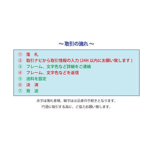 【新品・即決】カーボン調 ナンバーフレーム RYAS VOLKRACING ボルクレーシング レイズ 汎用 USDM ホイールの画像5