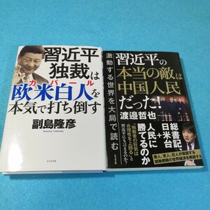 習近平独裁は欧米白人(カバール)を本気で打ち倒す 副島隆彦／著、習近平の本当の敵は中国人民だった!／渡邉哲也●送料無料・匿名配送