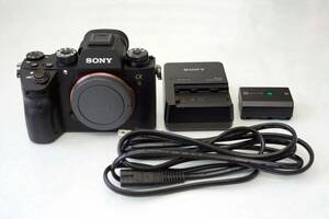 ■SONY α9（ILCE-9）■ボディ　中古品シャッター回数13,382枚■