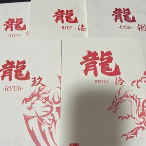 龍-RYU6〜10- 飯田実樹 『空に響くは竜の歌声』