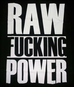 ★イギー ポップ アンド ザ・ストゥージス Tシャツ Iggy Pop and The Stooges Raw Power - M 正規品 &
