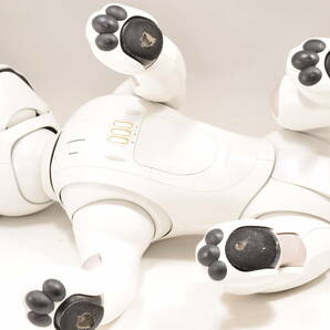 ソニー アイボ ERS-1000 AIBO 犬型 ロボット ペット SONY の画像3