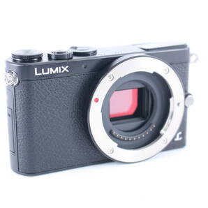 ★極美品★パナソニック PANASONIC LUMIX DMC-GM1 ボディ ★動作OK★#M031の画像2