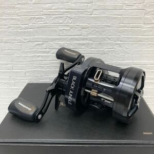 売切！１円スタート！メガバス Megabass ito ENGINEERING ブラックジャングル BLACK JUNGLE 右巻 RH Daiwa カスタム ベイトリール リョーガ