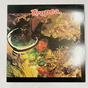 TROPEA John Tropea トロペア　LP レコード