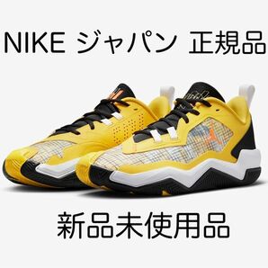 NIKE ジョーダン ワン テイク 4 PF メンズシューズ 新品未使用品