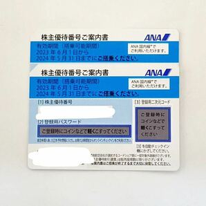 ANA 全日空 株主優待券 2枚 期限:2024年5月31日 送料無料！の画像1