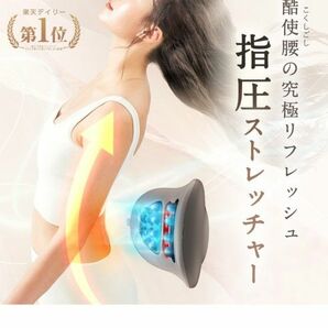 値下げしました。腰マッサージ機 腰ケア ストレッチャー EMS 温熱 牽引 NIPLUX WAISウエスタプレミス 骨盤 低周波