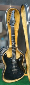 Schecter シェクターアメリカンシリーズ MT×3 上位機種 used