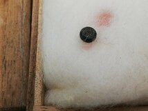 0302B49　日本の記念硬貨　大型硬貨　露銀　桜の通り抜け　大手毬　南極地域観測50周年　おまとめ　ケース入り_画像7