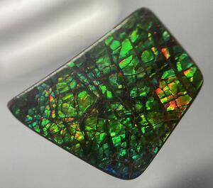 【100円スタート!!】天然アンモライト 11.80ct ルース 宝石 ammolite loose gem stone Y06