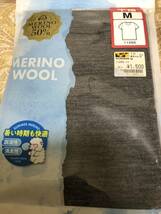 MERINO WOOL メリノウール　M グレー　灰　ワークマン WORKMAN アウトドア Tシャツ インナー 丸首 山登り _画像1