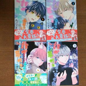 《値引きしました！1200→1000円！本日午前中までクーポンも使えます！》誰か夢だと言ってくれ みっしぇる 4巻セット