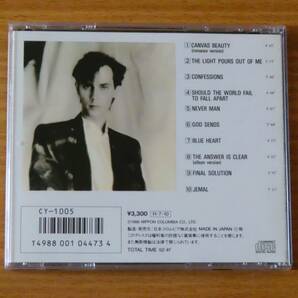 ピーター・マーフィー Peter Murphy (Bauhaus) - Should The World Fail To Fall Apart 凍てついた世界への画像2