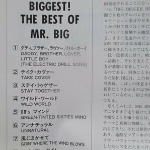 １３点セット◆【ＭＲ．ＢＩＧ】◆ＢＯＸ仕様＆帯付ＣＤ◆ベスト盤あり◆マウスパット、ピック付◆お買い得！の画像9