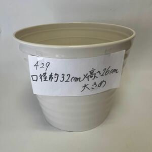 429 胡蝶蘭が入っていた植木鉢　軽い　プラスチック製　白　大きめ