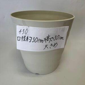 430 胡蝶蘭が入っていた植木鉢　軽い　プラスチック製　白　大きめ