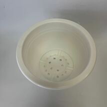 428 胡蝶蘭が入っていた植木鉢　軽い　プラスチック製　白　大きめ_画像4