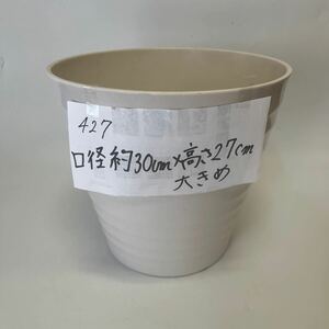 427 胡蝶蘭が入っていた植木鉢　軽い　プラスチック製　白　大きめ 底に多少の汚れ有り