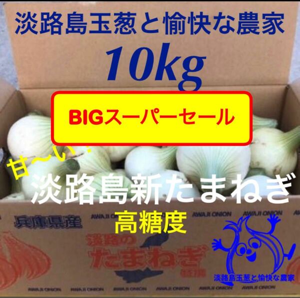 ＜BIGスーパーセール＞淡路島産新玉ねぎ 10kg 高糖度 新たまねぎ 新玉葱 新タマネギ